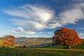 Autumn in the Black Forest Royalty Free Stock Photo