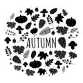 Autumn black leaves set isolated on white background. Royalty Free Stock Photo