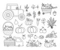 Autumn black and white harvest set. Vector line farm vegetables, fruit and berry collection with pumpkins, carrot, apple, cabbage