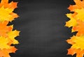 Autumn blackboard background with realistic maple leaves