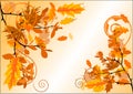 Autumn blank Royalty Free Stock Photo