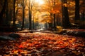 Autumn bliss sunlight paints a serene scene through colorful forest leaves