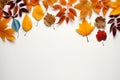 Autumn Bliss White background adorned with happy autumn leaves, copy space