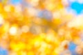 Autumn blurred background, fall. Abstract background. Colorful bright leaves, yellow, orange and red colors backdrop Royalty Free Stock Photo