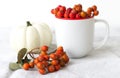 Autumn blurred background. Thanksgiving Day. White pumpkins , rowan berries and white porcelain cup. Autumn decor on a white