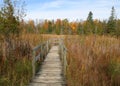 Autumn Boardwalk