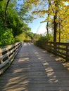 Autumn Boardwalk Michigan Royalty Free Stock Photo