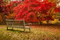 Autumn in Bodnant Garden