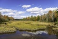 Autumn Bog and Fall Colors - Ontario, Canada Royalty Free Stock Photo