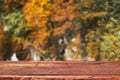 Autumn bokeh background with wooden plank in focus. Blurred fall nature with brown table Royalty Free Stock Photo