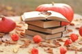 Autumn books.NaNoWriMo Writing Autumn Marathon. reading.