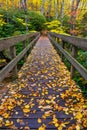 Autumn, Boone Fork Bridge, Blue Ridge Parkway