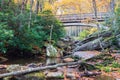 Autumn Boone Fork Creek North Carolina