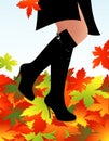 Autumn boots Royalty Free Stock Photo