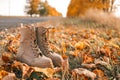 Autumn boots in the forest, style and fashion concept Royalty Free Stock Photo