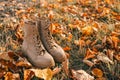 Autumn boots in the forest, style and fashion concept Royalty Free Stock Photo