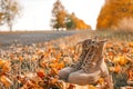 Autumn boots in the forest, style and fashion concept Royalty Free Stock Photo