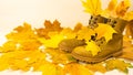 Autumn boots and yellow maple leaves around them. Beige background Royalty Free Stock Photo