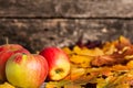 Autumn border from apples and maple leaves Royalty Free Stock Photo