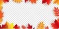 Autumn Border With Bright Leaves Transparent Background