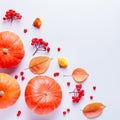 Autumn border with leaves, rowan berries, orange pumpkins, pine cones on pastel background, flat lay. Fall, thanksgiving Royalty Free Stock Photo