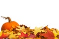 Autumn border with pumpkin Royalty Free Stock Photo