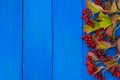 Autumn botanical composition on a blue wooden background