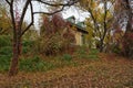 Autumn in the botanical garden