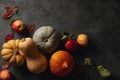 Autumn bottom border banner of pumpkins, gourds and fall decor on a rustic wood background with copy space Royalty Free Stock Photo