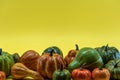 Autumn bottom border banner of pumpkins, gourds and fall decor on yellow background with copy space Royalty Free Stock Photo