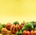 Autumn bottom border banner of pumpkins, gourds and fall decor on yellow background with copy space Royalty Free Stock Photo
