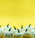 Autumn bottom border banner of white pumpkins, gourds and fall decor on yellow background with copy space Royalty Free Stock Photo