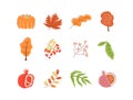 Autumn bounty flat vector abstract elements set