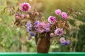 Autumn bouquet aster flowers and plums