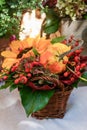 Autumn bouquet of beautiful flowers, berries and pumpkin in the basket at the florist shop outdoors . Concept of autumn festive Royalty Free Stock Photo