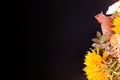 Autumn bouquet. Dried flowers and cape gooseberry on black