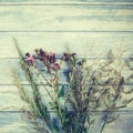Autumn bouquet of dry flowers and grass Royalty Free Stock Photo