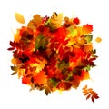 Autumn bouquet with leaf for your design Royalty Free Stock Photo