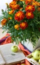 Autumn bouquet of marigolds