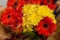 Autumn bouquet with orange and yallow flowers Royalty Free Stock Photo