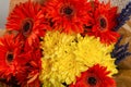 Autumn bouquet with orange and yallow flowers Royalty Free Stock Photo