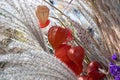 Autumn bouquet of red physalis and field herbs. Royalty Free Stock Photo