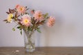 Autumn bouquet of salmon-colored dahlias in a glass vase Royalty Free Stock Photo