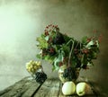 Autumn bouquet Still Life sprigs elderberry Royalty Free Stock Photo