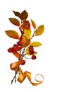 Autumn bouquet from twigs with ginger leaves, red berries and satin ribbon isolated Royalty Free Stock Photo