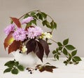 Autumn bouquet with wild grape and pink chrysanthemum flowers in a white jar Royalty Free Stock Photo