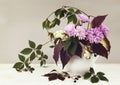 Autumn bouquet with wild grape and pink chrysanthemum flowers in a white jar Royalty Free Stock Photo