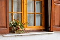 bouquet on a window of a cottage house as decoration Royalty Free Stock Photo
