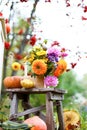 Autumn bouquet in wooden box, flowers vase on shabby rustic stool. Purple, orange, yellow bright zinnias, dahlias. Pumpkins,