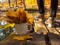 Autumn bouquet of yellow leaves in a beautiful cup at the girl's feet